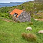 Idyllisches Schottland