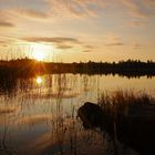 Idyllisches Schweden