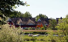 Idyllisches wohnen am Bodden