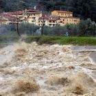 IERI POMERIGGIO A PRATO LUNGO IL BISENZIO