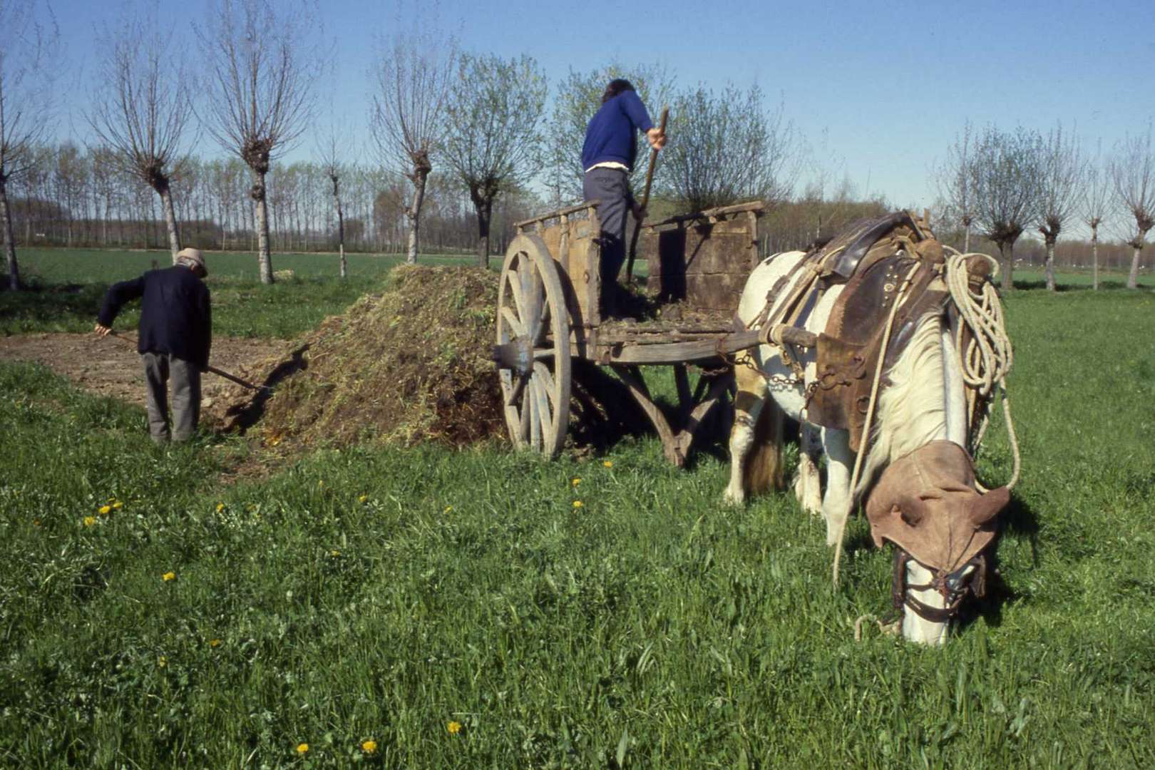 Ieri.......il lavoro