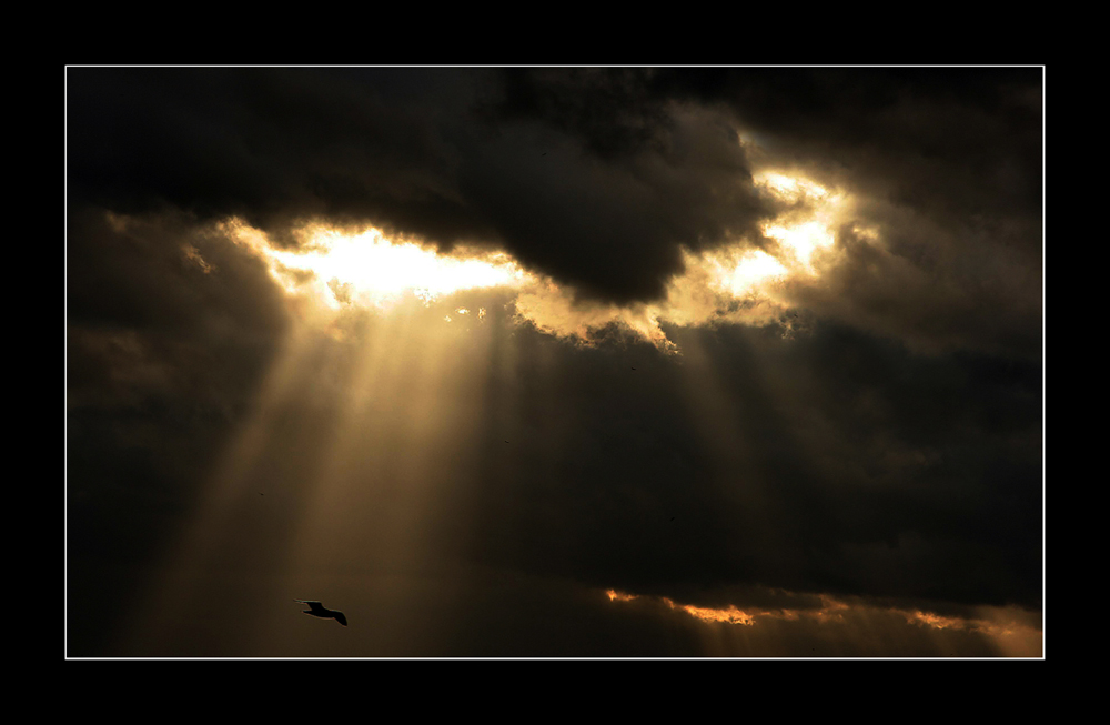 ...if I saw you in heaven... Foto & Bild trauer, trauer ein gefühl