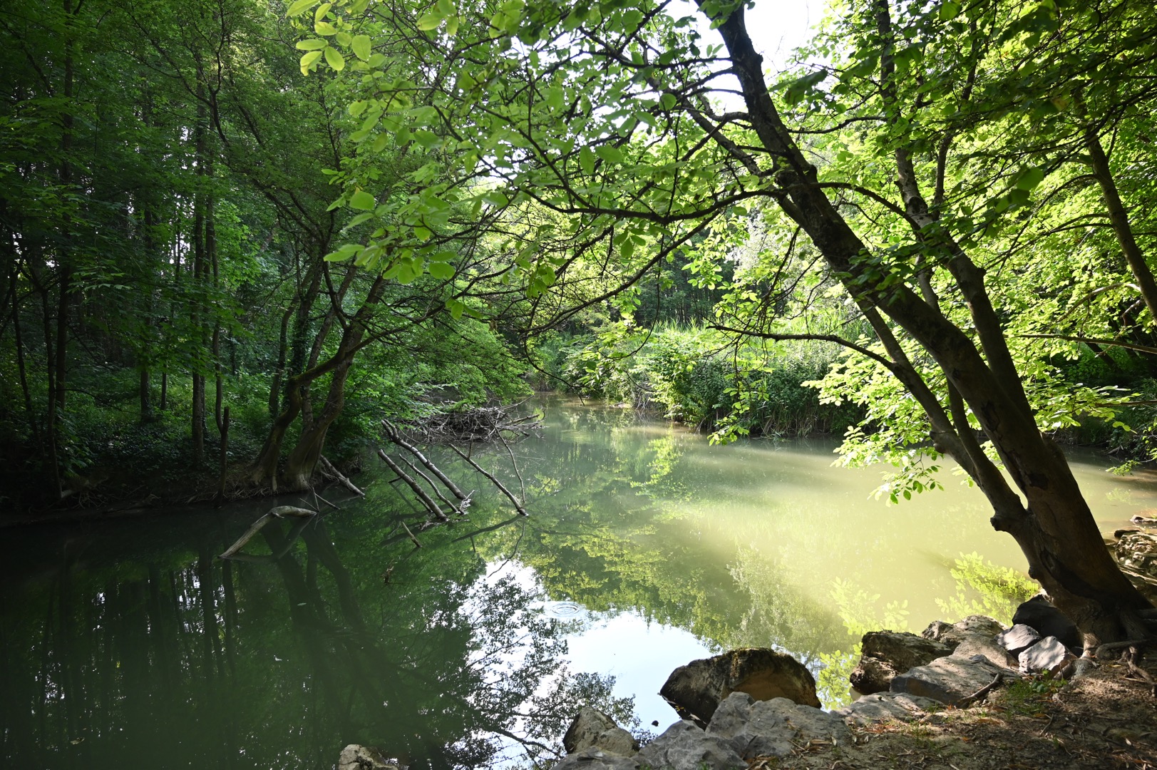 ...if only life could be like this...a quiet little stream...