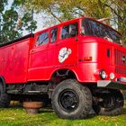 IFA W50