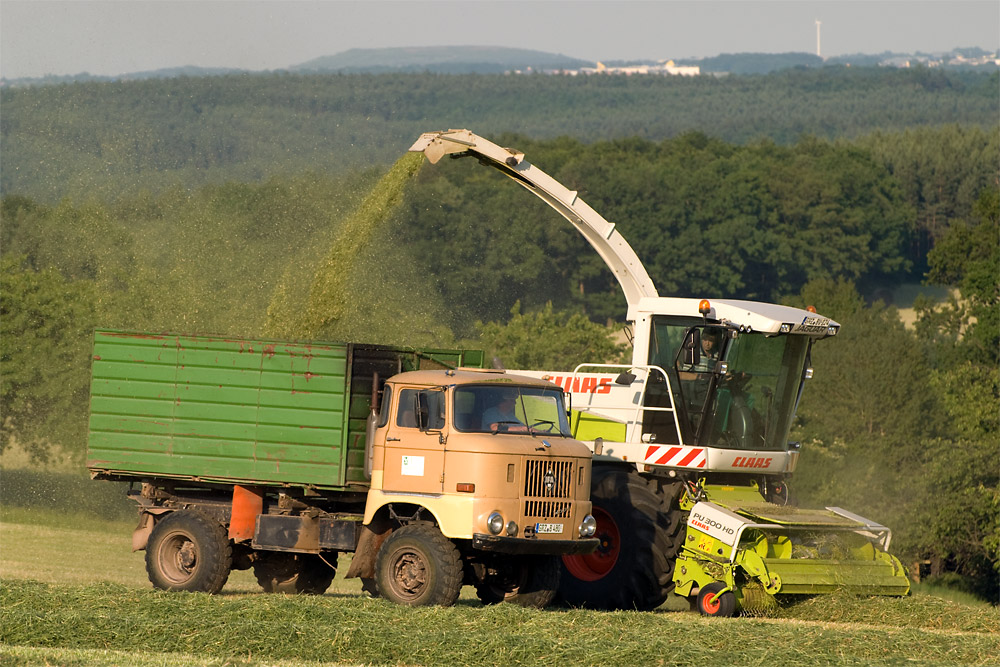 IFA W50