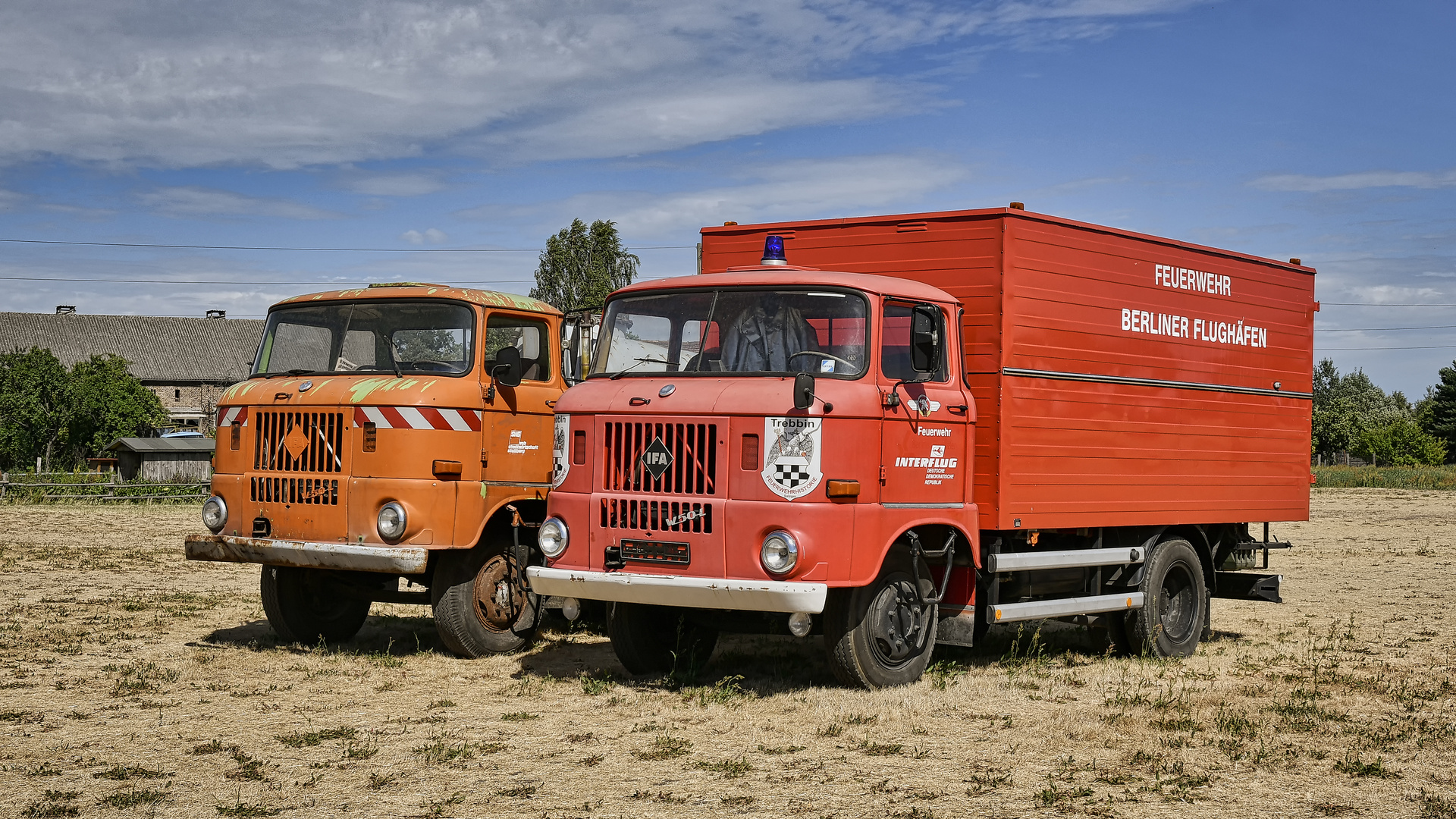 IFA W50