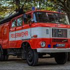 IFA W50L