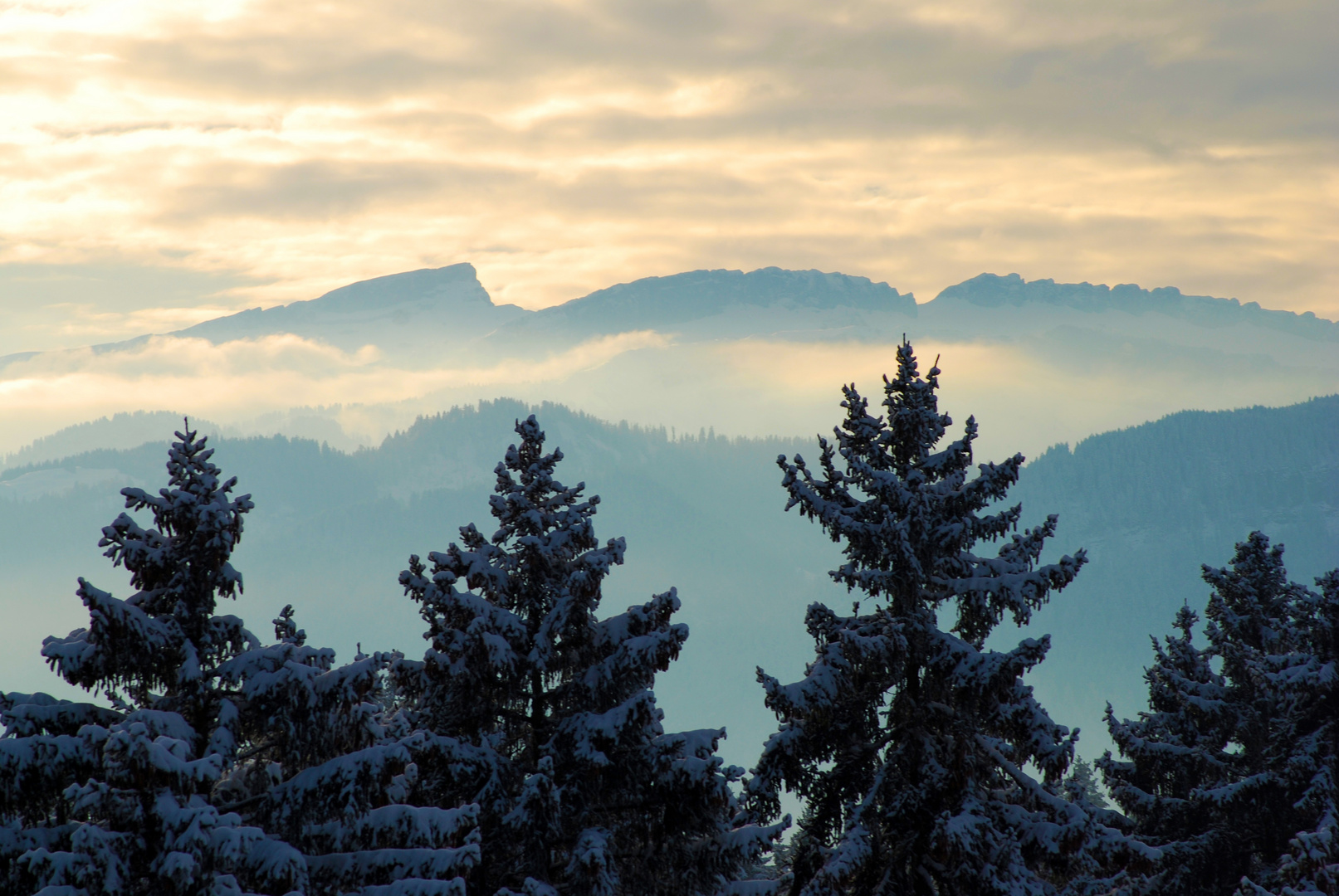 Ifen Plateau Kleinwalsertal