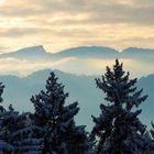 Ifen Plateau Kleinwalsertal