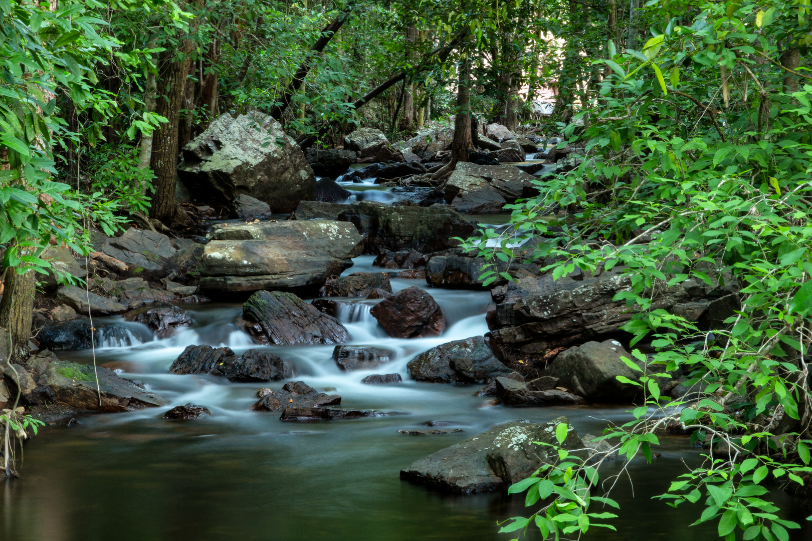 IFlorence Creek