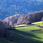 IFrühlings - Sonne genießen