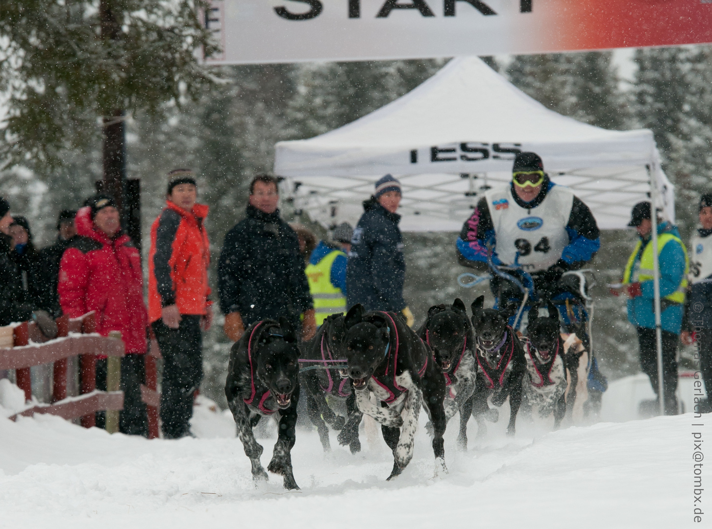 IFSS Worldcup 2011 - Hamar, Norwegen