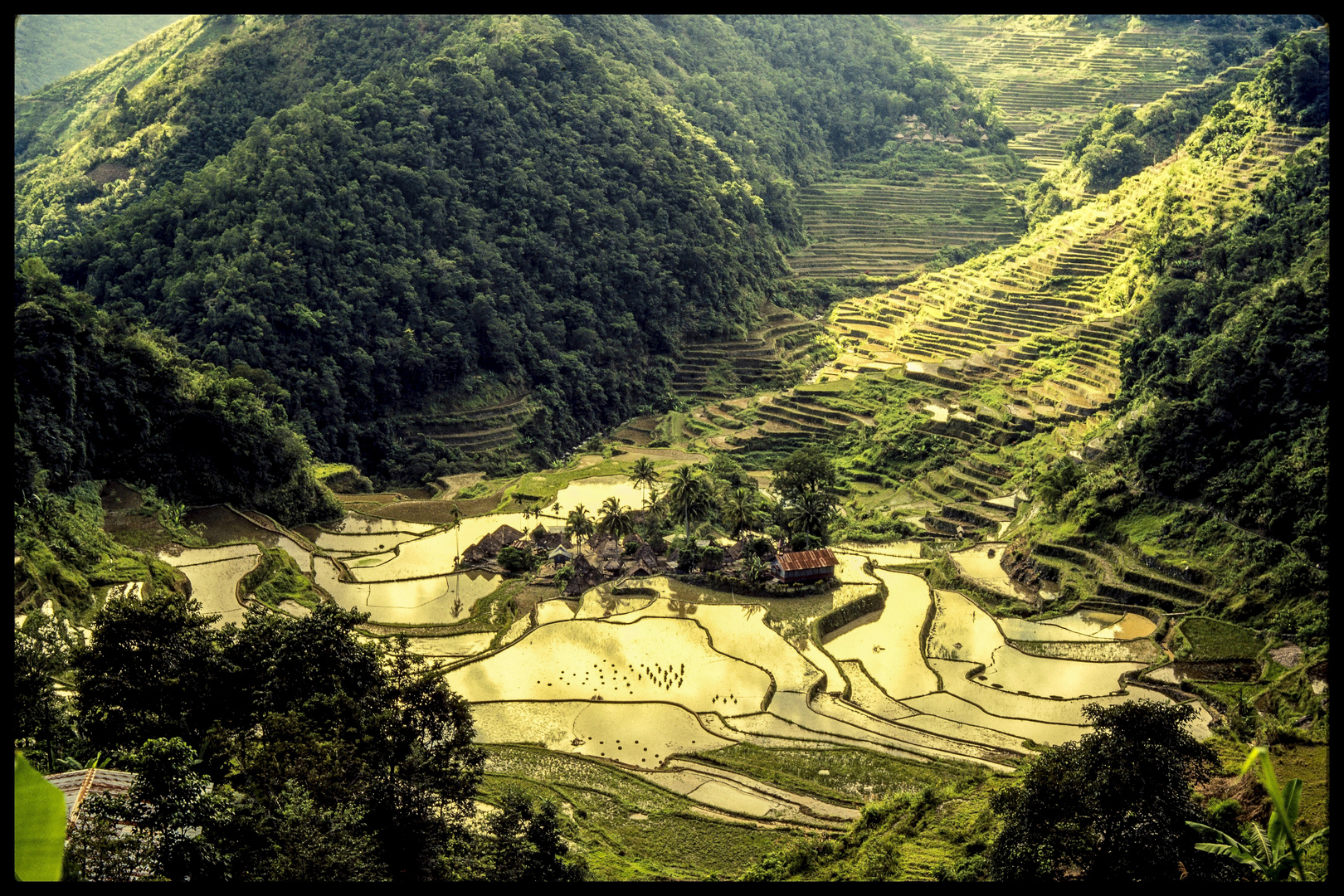 Ifugao Foto & Bild asia, philippines, southeast asia Bilder auf