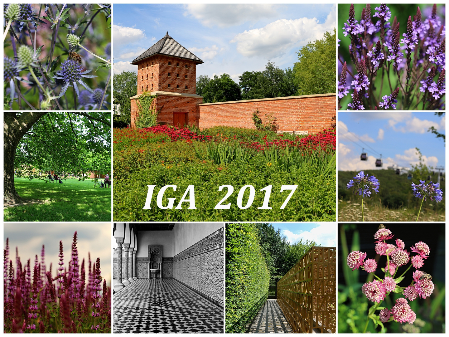 IGA 2017