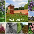 IGA 2017