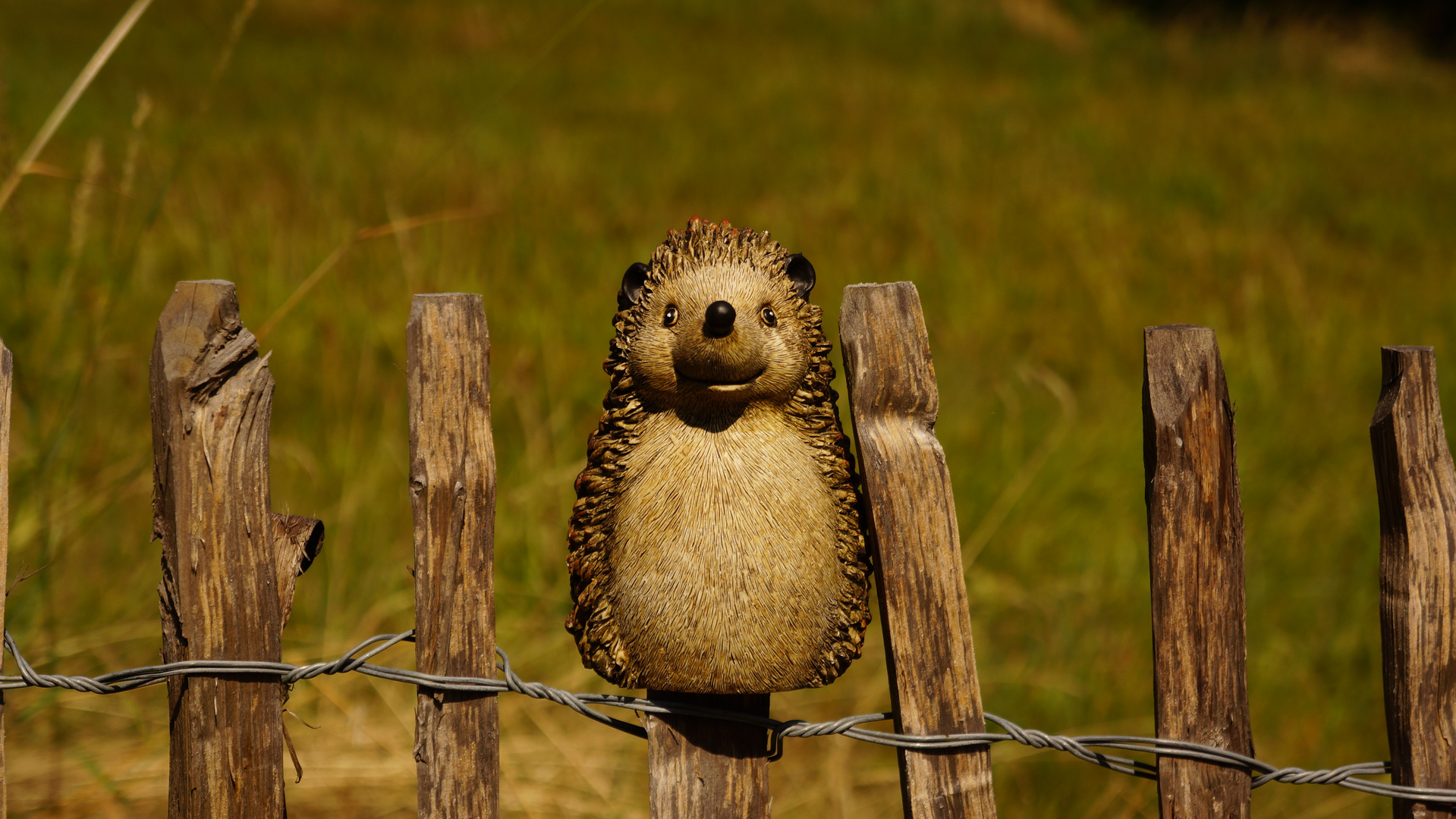 Igel auf Zaun :)