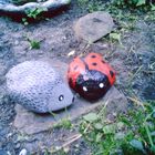 igel und marienkäfer