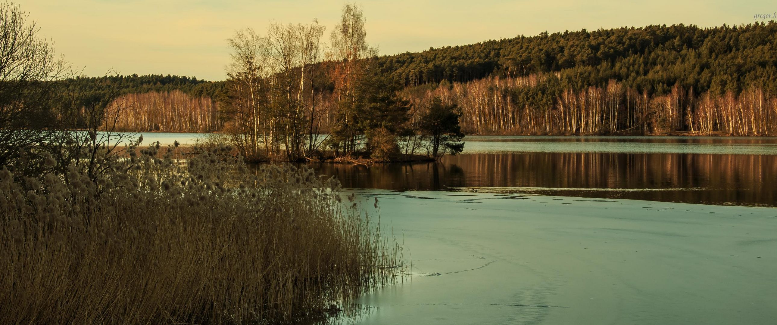 Igelsbachsee Frühling