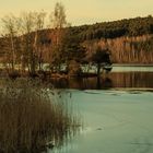 Igelsbachsee Frühling