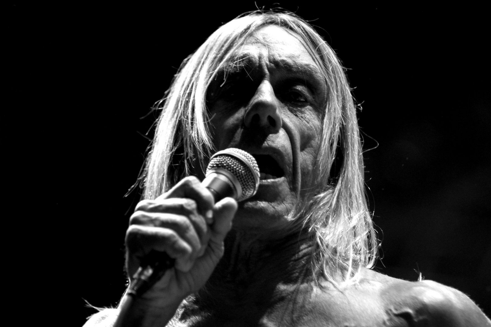 iggy pop 01