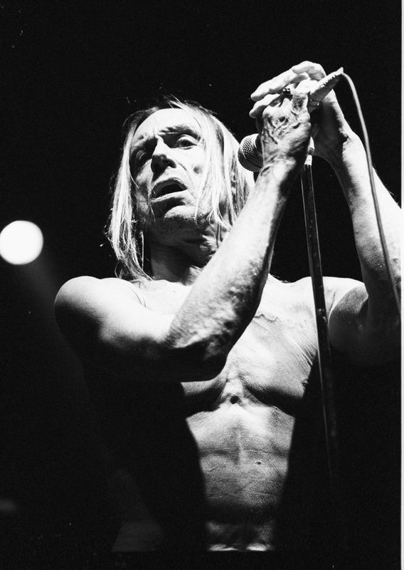 Iggy Pop