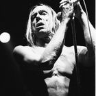 Iggy Pop