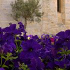 Iglesa Sant Jaume II, Alcudia