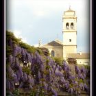 IGLESIA EN GRANADA