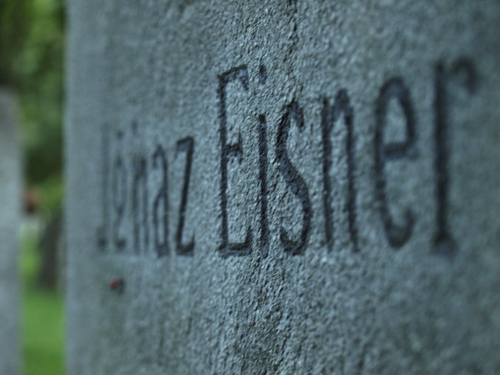 ignaz Foto & Bild sonstiges, totes, natur Bilder auf