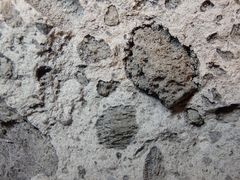 Ignimbrit aus dem Rotorua-Gebiet, Nordinsel Neeseelands