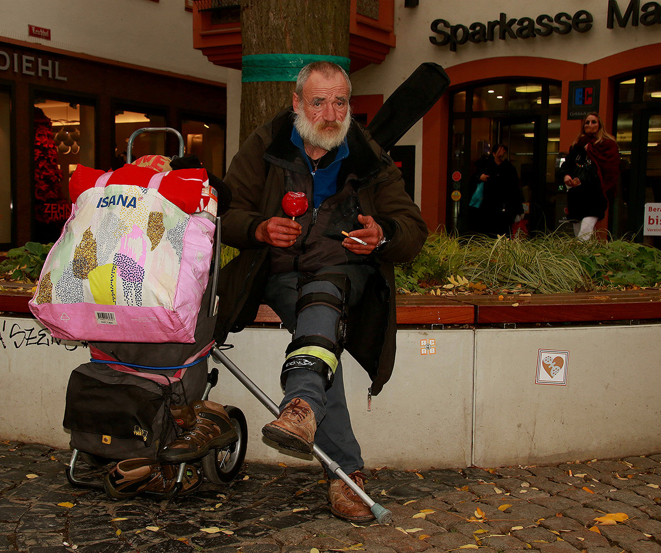 Igor in der Weihnachtszeit, oder Weihnachten ist nicht für jeden schön!