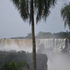 iguacu wasserfall auf der argentinischen seite!