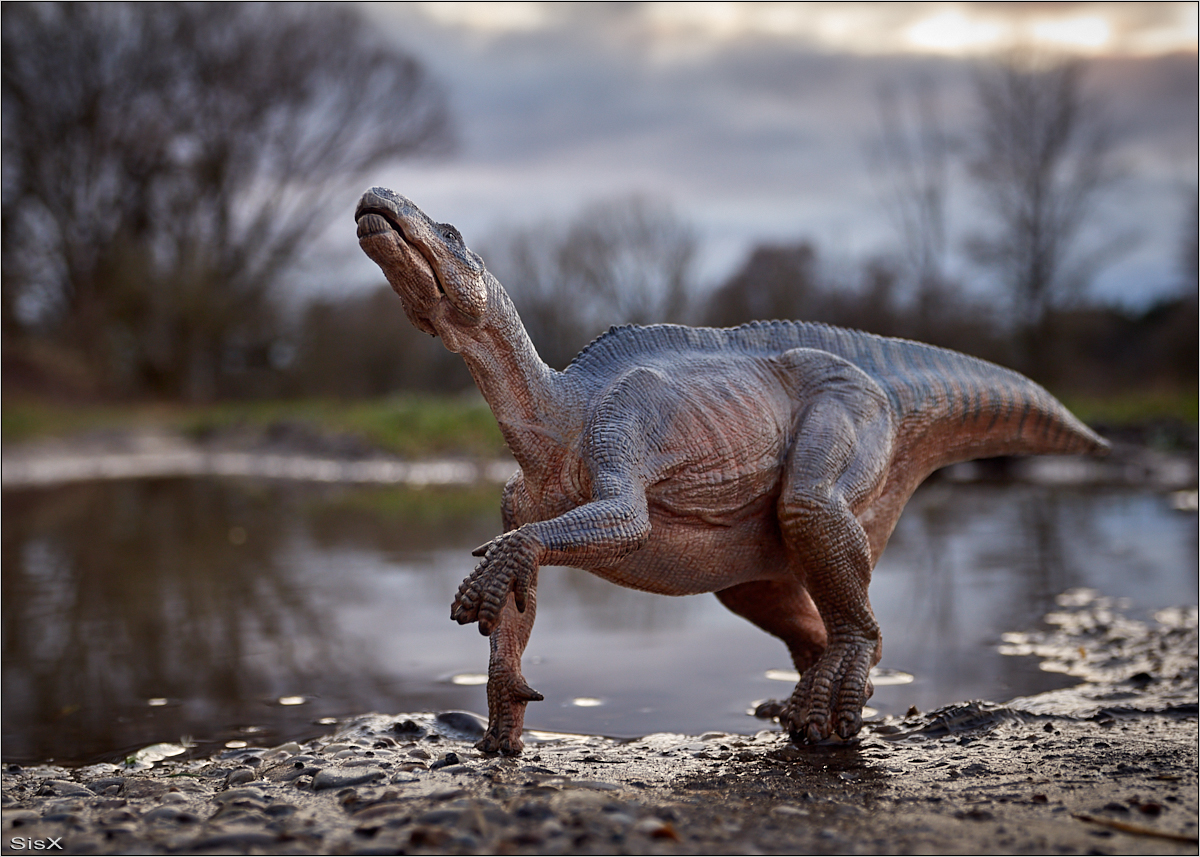 Iguanodon an Pfütze