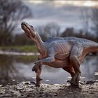 Iguanodon an Pfütze
