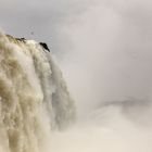 Iguazú (1)