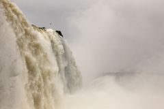 Iguazú (1)