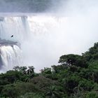 Iguazu