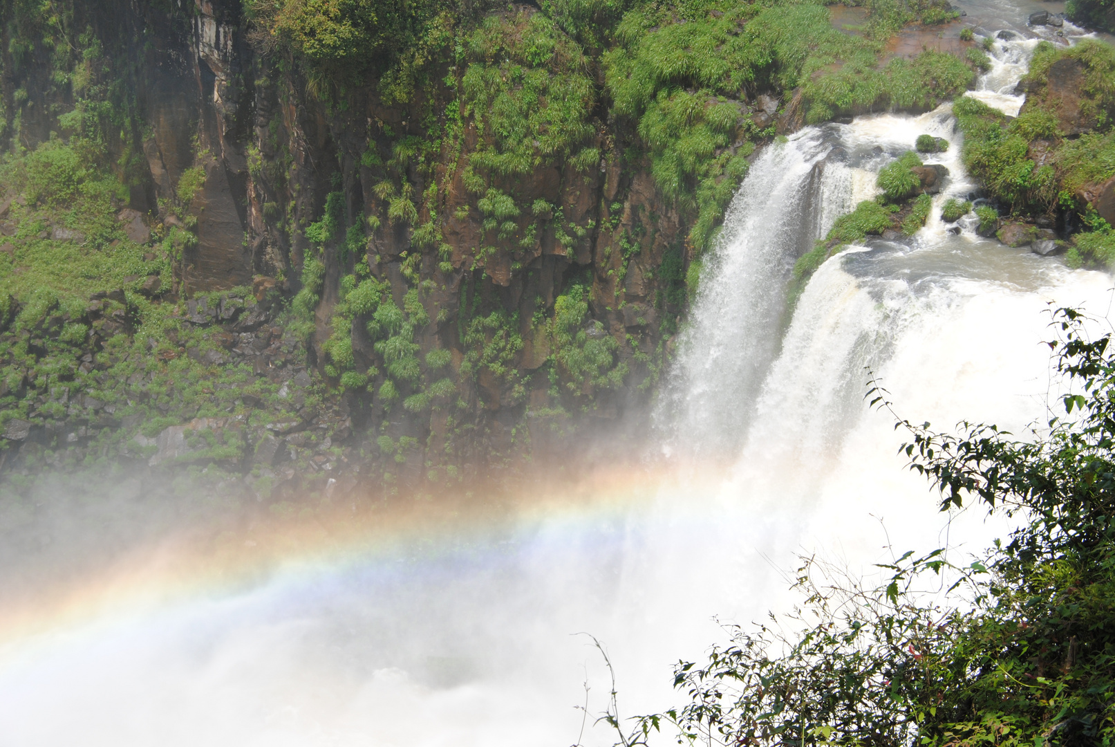 Iguazu