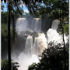 IGUAZU