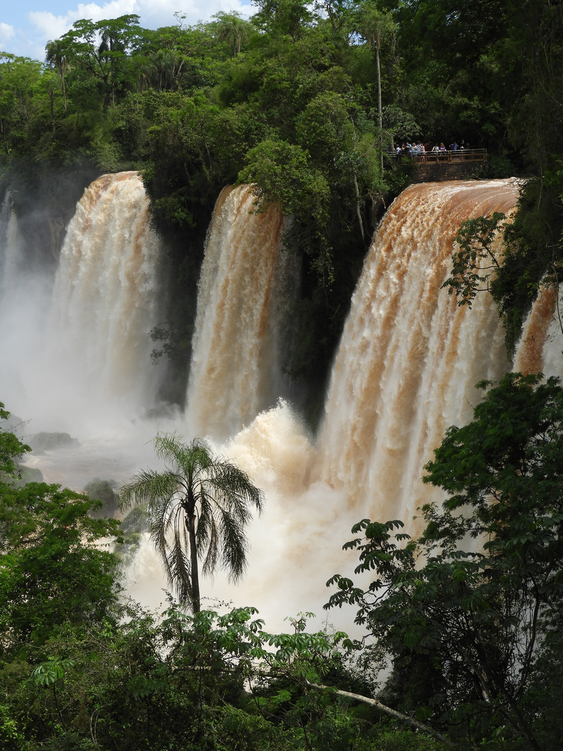 Iguazu