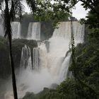 Iguazu