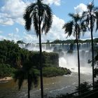 Iguazu-ein tropisches Paradies