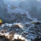 Iguazu Falls - surviver