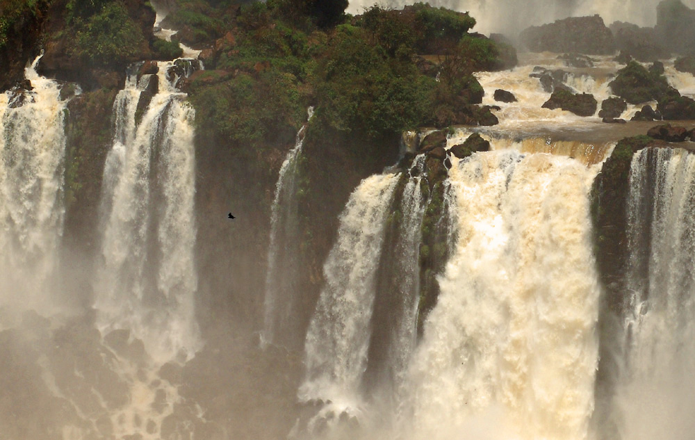 Iguazu I - fly with the eagle