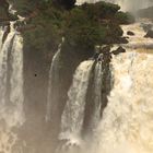 Iguazu I - fly with the eagle