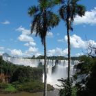 IGUAZU PALMERAS - ARGENTINA