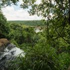 Iguazú - Sendero Macuco - Wasserfall oben