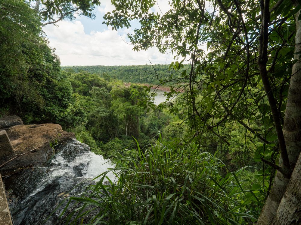 Iguazú - Sendero Macuco - Wasserfall oben