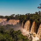 Iguazu - Wasserfälle