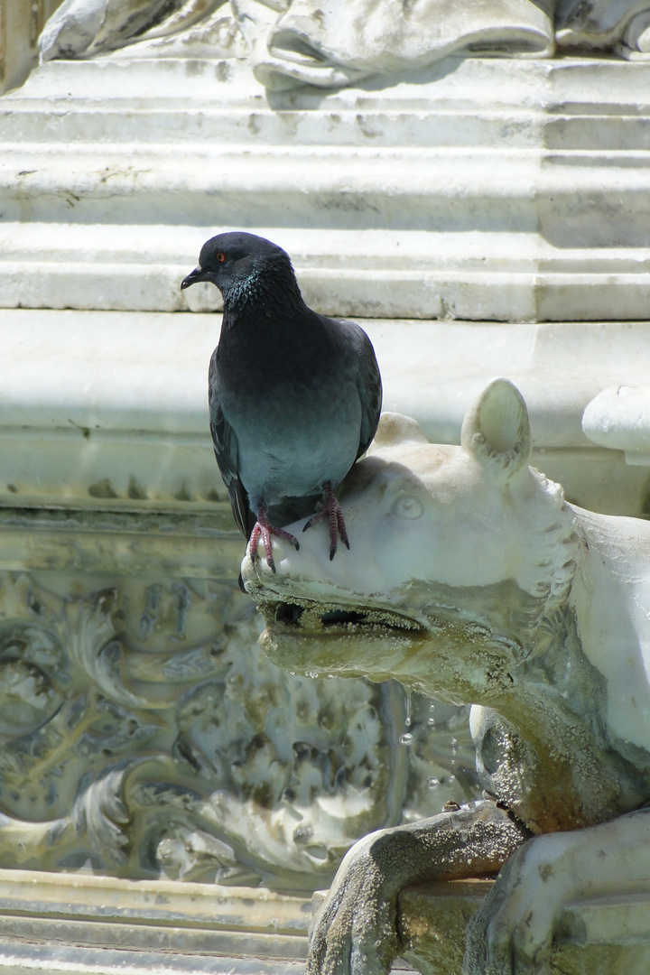 Ihm läuft schon das Wasser im Munde zusammen.....